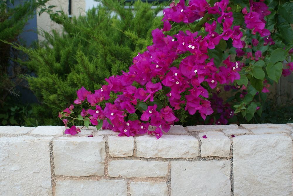 Your Memories Hotel Apartments Kato Gouves Exterior foto